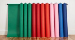 affordable seamless backdrop kits