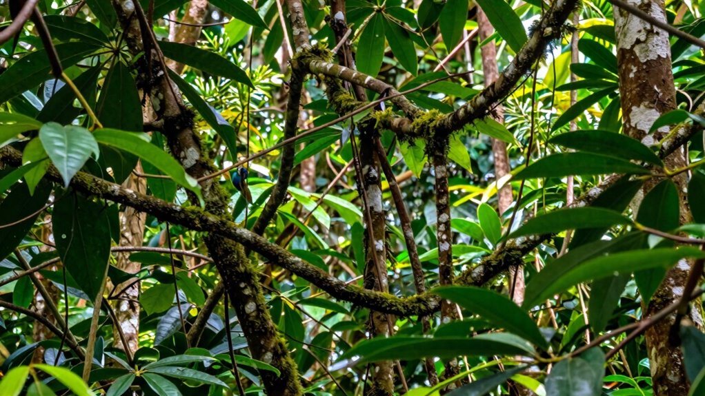 elite product review program