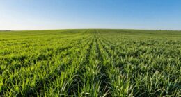 Wichtige Überwachungswerkzeuge erklärt