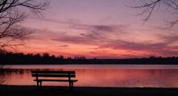 Abendroter Richtlinien