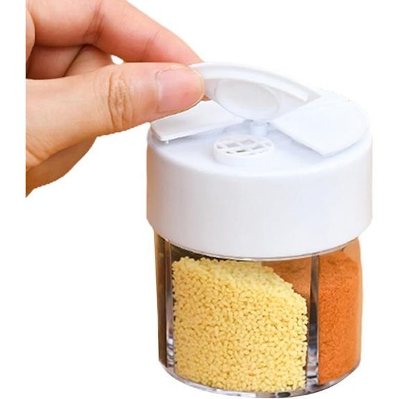 4-in-1 Transparentes Gewürzstreuer-Set