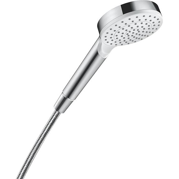 Hansgrohe Crometta Duschkopf