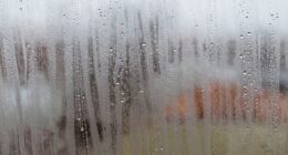 Identifizieren Sie die Ursache von Fensterniederschlag