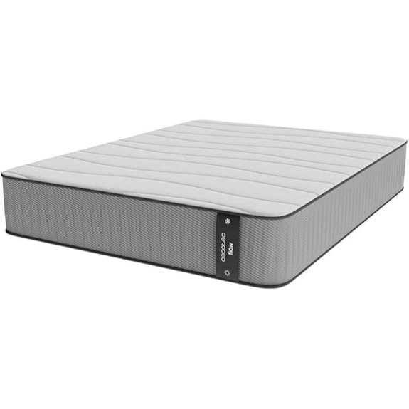 Cecotec Grau Memory-Schaum-Matratze 90 x 200 cm