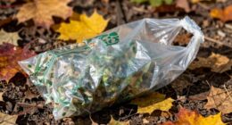 requires Industrial-Kompostiermöglichkeiten