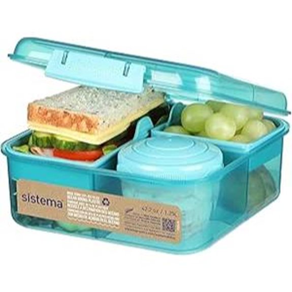 Bento-Box-Meeresplastik-Lunch-Container mit Fächern