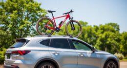 top e bike roof racks