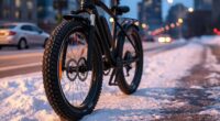 top e bike winter tire sets