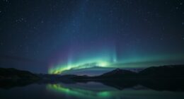 Top-Star-Lichter 2026