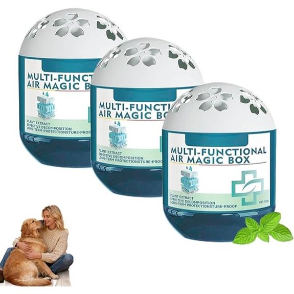 Multifunktionale Luftreinigungsstaubentfernungsbox (Packung zu 3)