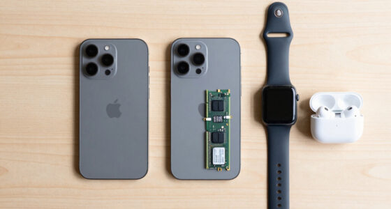 Apple Is Reaching for Chinese Memory. Europe Doesn’t Even Have That Option.