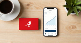 Red Robin Business Restructuring