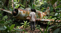 World War II Fighter Wreck Of America's Top Ace Recovered From Jungles Of Papua New Guinea