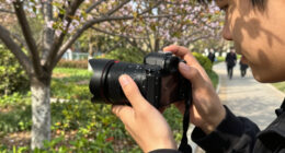 The 10 Best Mirrorless Cameras With AI For Photography Enthusiasts In 2026